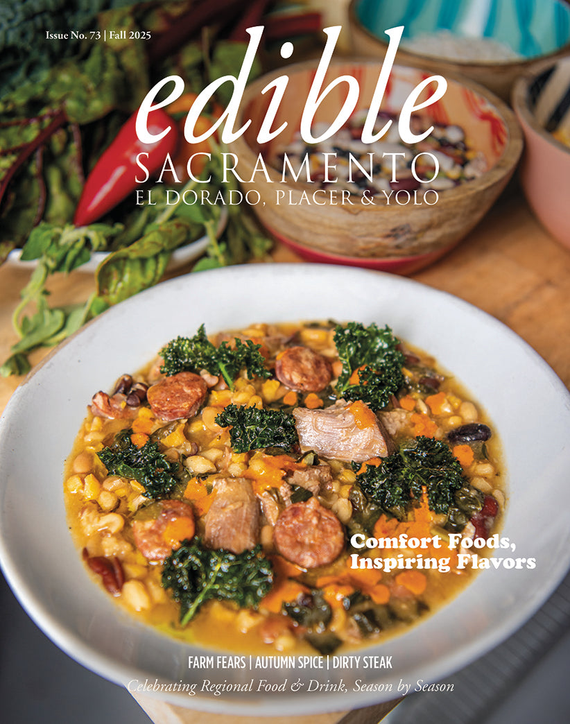 Issue #73 - Fall 2025