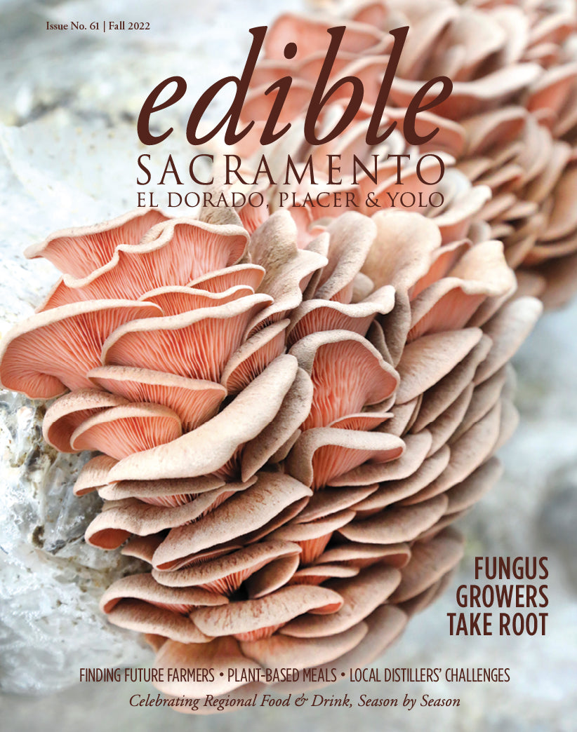 Issue #61 - Fall 2022