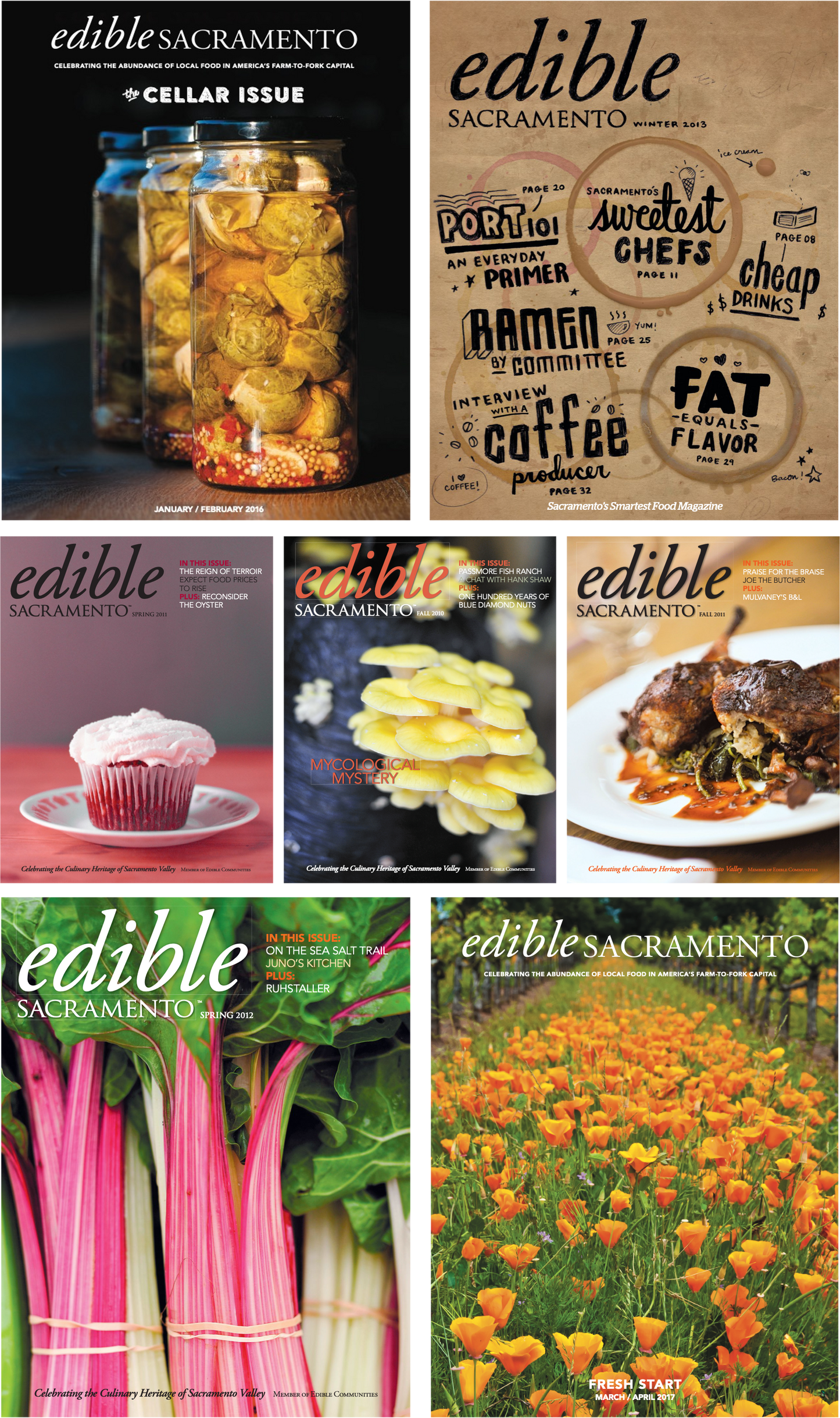 One Year Subscription - 4 Issues