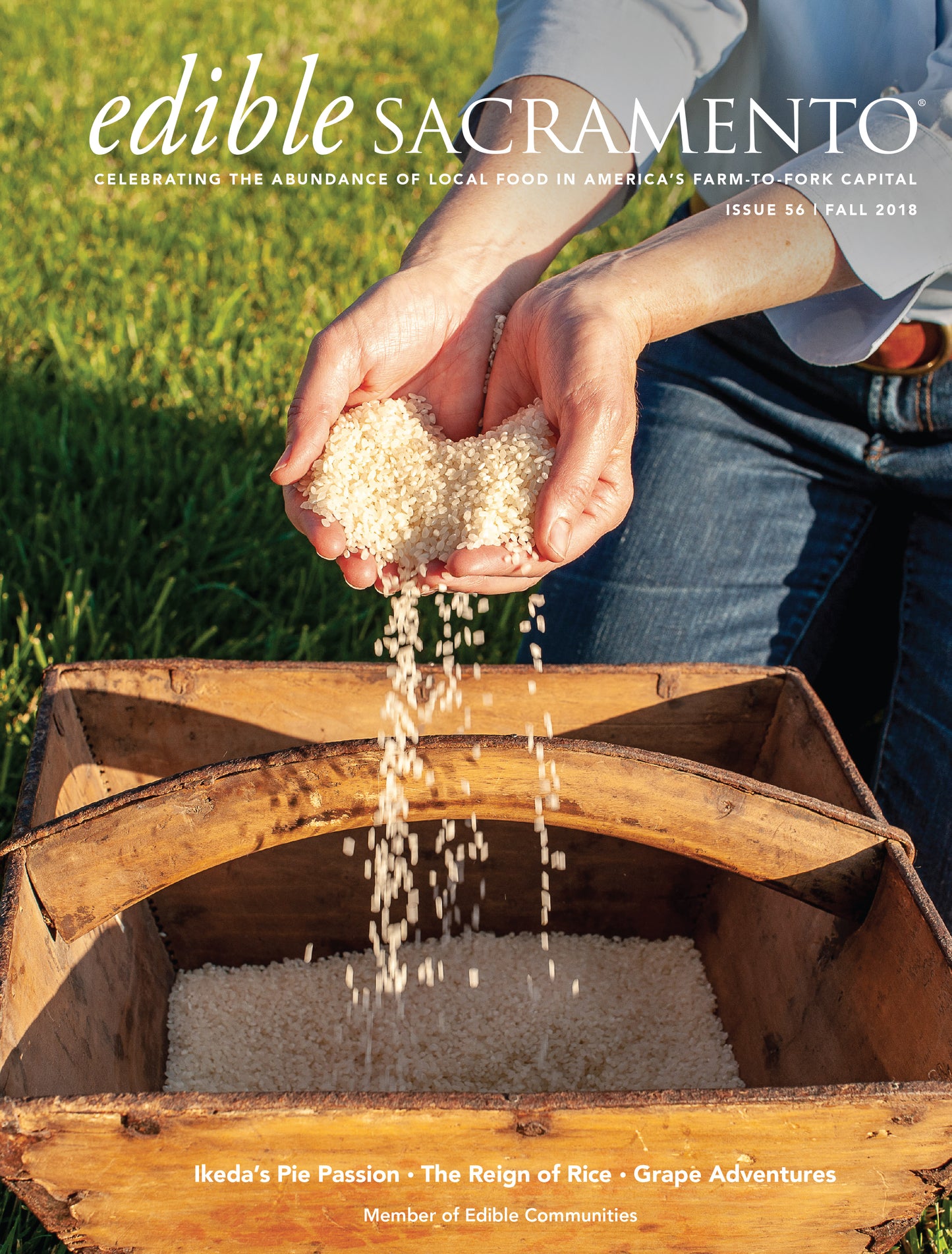 Issue #56 - Fall 2018